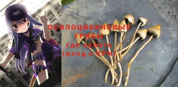 дурь Балахна