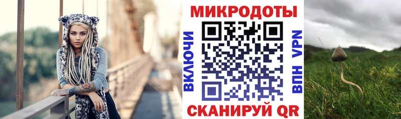 Псилоцибиновые грибы Cubensis  ОМГ ОМГ ссылка  Калуга 